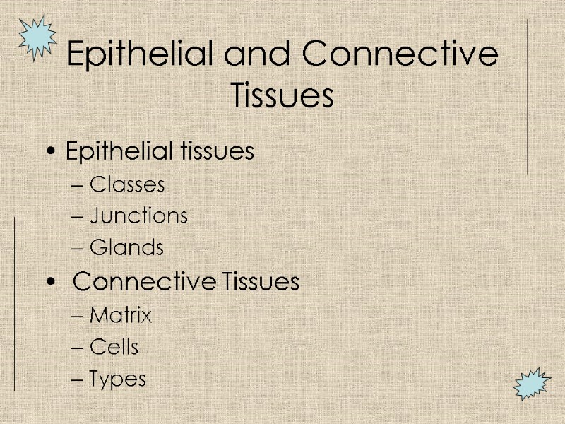 Epithelial and Connective Tissues Epithelial tissues Classes Junctions  Glands  Connective Tissues Matrix